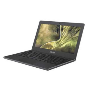 asus 204ee